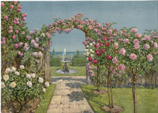 An English East Coast Garden